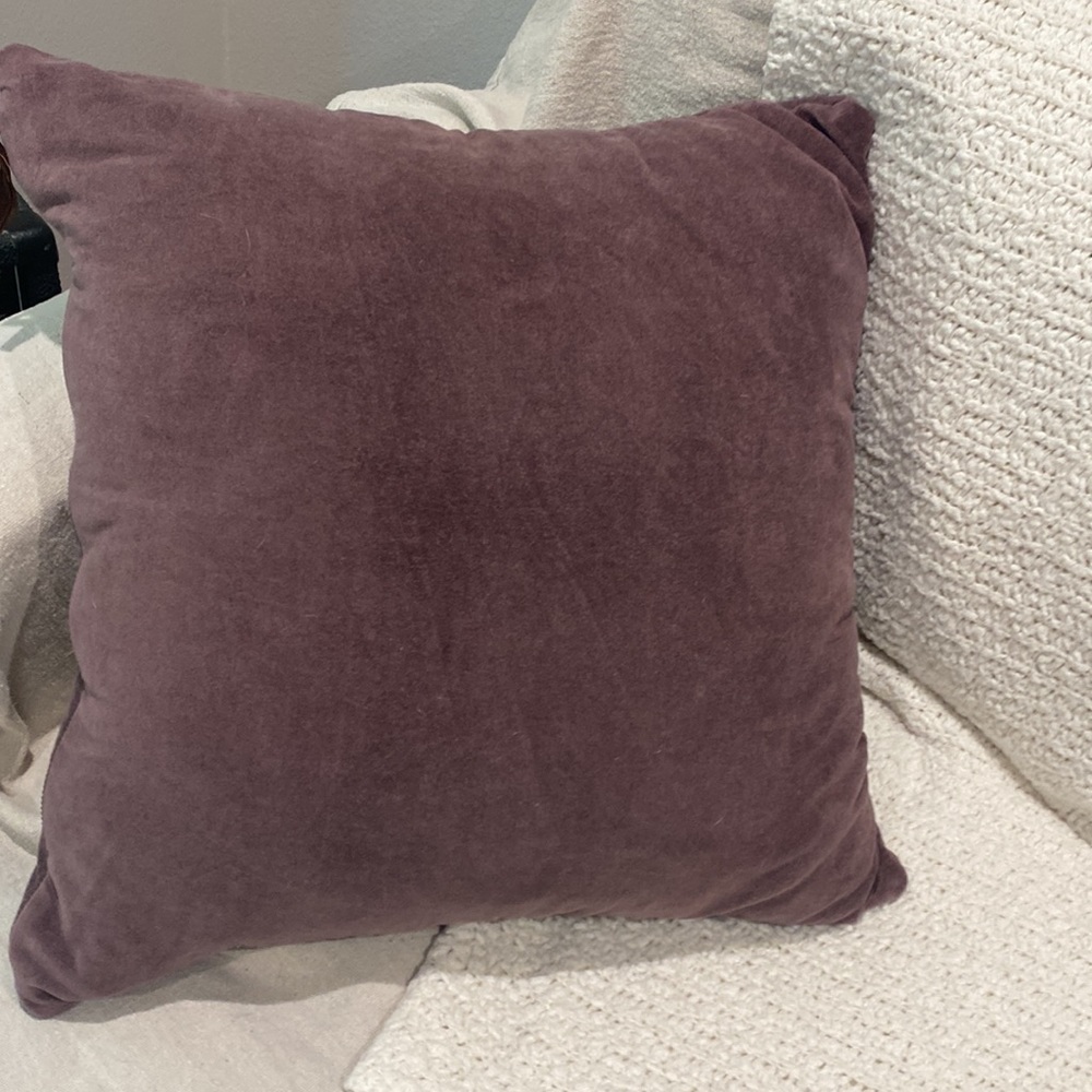 Set of 2 FIG  Pottery Barn Everywhere Velvet Pillow Covers